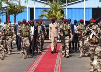 Transition en Guinée : Que doit-on retenir du sondage réalisé par Stat view international ?