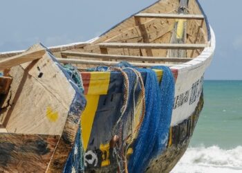 Pêche et Aquaculture : Un potentiel économique essentiel pour le développement durable