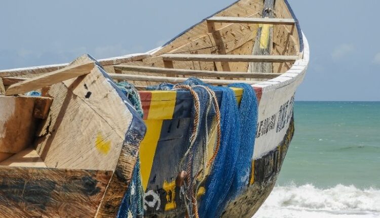 Pêche et Aquaculture : Un potentiel économique essentiel pour le développement durable