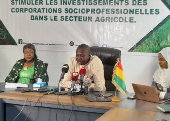 Sonoco, Guiter, Guicopress et Albayrak  investissent dans l’agriculture pour diminuer le déficit alimentaire du pays