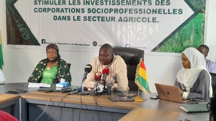 Sonoco, Guiter, Guicopress et Albayrak investissent dans l’agriculture pour diminuer le déficit alimentaire du pays