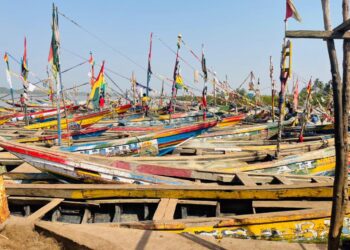 Arrestation de plusieurs pêcheurs sénégalais en Guinée