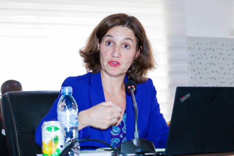 Le Fonds Monétaire International achève sa visite en Guinée