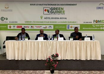 Green Guinée : Forum des mines au service du développement durable en Guinée