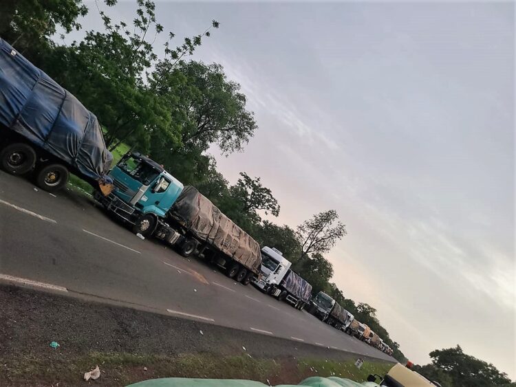 52 camions sénégalais bloqués dans une forêt guinéenne
