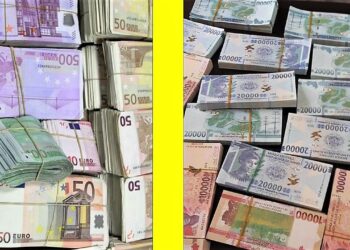 Baisse de l’euro, quel impact sur le franc guinéen ?