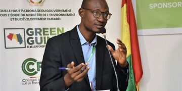 COP27 : quels enjeux pour la Guinée ?