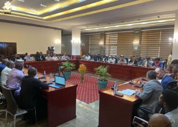 Discussions autour du suivi et du contrôle des projets miniers en Guinée