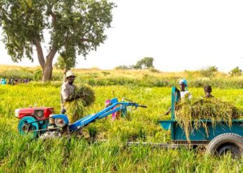 La Guinée encaisse 71 millions de dollars du FMI pour le Fonds du développement agricole