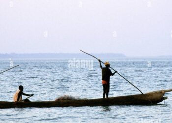 Lancement officiel du recensement du parc piroguier du côtier guinéen