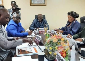Le FIM mobilise 103 milliards GNF
