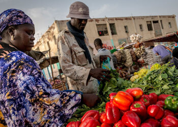 Les autorités guinéennes interdisent l’exportation de certaines denrées alimentaires