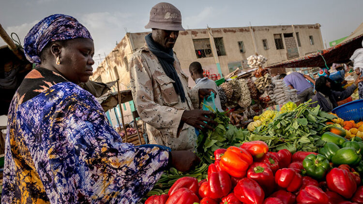 Les autorités guinéennes interdisent l’exportation de certaines denrées alimentaires