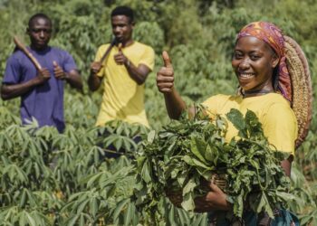 Rwanda : un projet de plus de 60 millions USD pour soutenir la production agricole