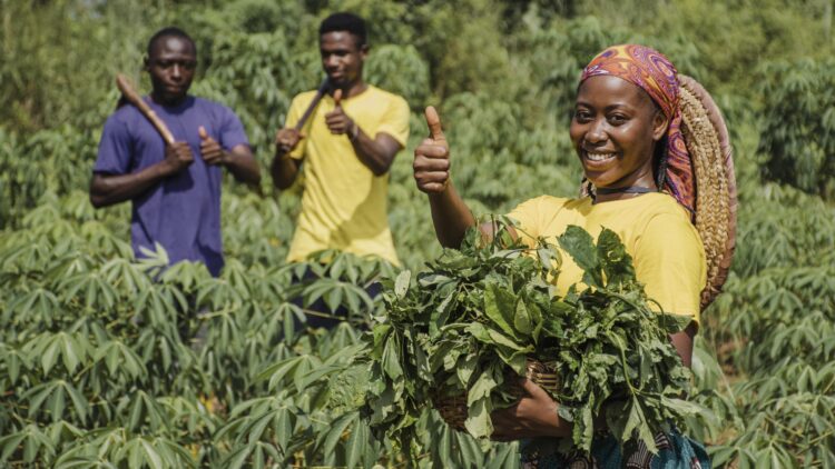 Rwanda : un projet de plus de 60 millions USD pour soutenir la production agricole