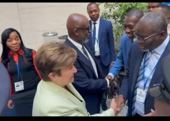 Le FMI accorde un financement de près de 66 millions EUR à la Guinée