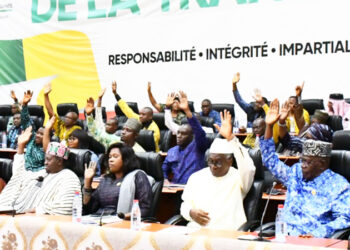 Le CNT ratifie trois accords de financement de 163 millions USD dans les secteurs de l’agriculture, de l’énergie et de la médecine