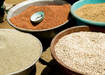 Le Nigeria annonce la suppression des droits de douane sur certaines denrées alimentaires