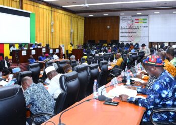 Adoption de la LFR 2024 : les recettes réajustées à 30 741,69 milliards de GNF