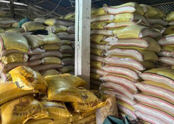 L’ONCQ découvre une ferme dans laquelle du riz pourri est reconditionné à Bentourayah