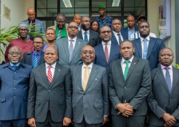 Une mission de SouthBridge Group atterrit en Guinée pour mettre à disposition son expertise dans les domaines stratégiques de développement