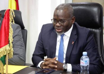 Mourana Soumah sera à la tête du Conseil de convergence de la ZMAO