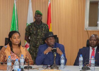 Cafouillage sur la communication sur la reprise de l’exploitation artisanale de l’or et des diamants en Guinée