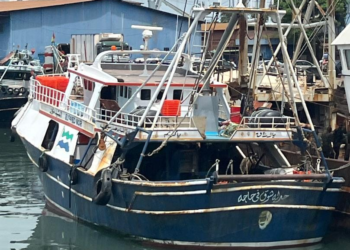 La Guinée perd plus de 200 millions USD par an dans la pêche illégale
