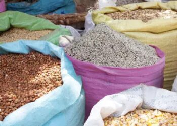 Nigeria : l’inflation s’est établie à 33,88 % en octobre 2024