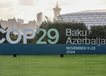 COP29 : quel financement contre le réchauffement climatique en Afrique ?