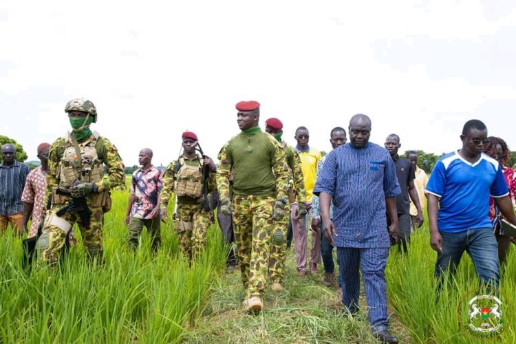 Le Burkina Faso prévoit une récolte céréalière record pour la saison 2024/2025