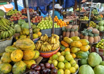 Les prix à la consommation progressent de +0,4 % sur un mois et de 5 % sur un an