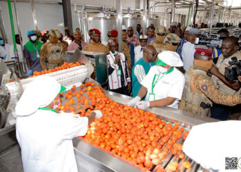 Le Burkina Faso lance sa première usine de transformation de tomate