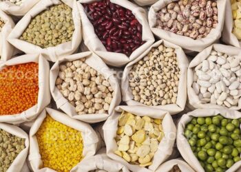 Nigeria : les ménages urbains sont les plus touchés par l’inflation alimentaire