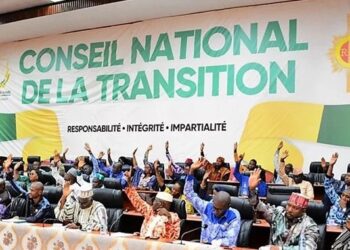 Le CNT adopte les dépenses de la LFI 2025