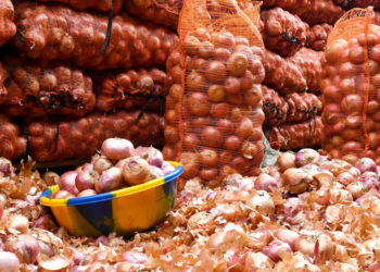 Le Sénégal suspend ses importations d’oignons