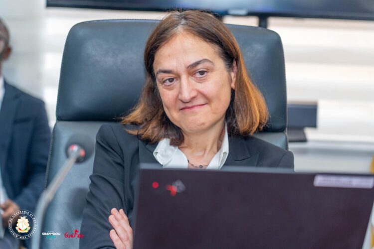 La Guinée poursuit les négociations avec le FMI pour un nouveau programme de soutien financier