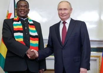 Le Zimbabwe dépose sa candidature pour rejoindre les BRICS