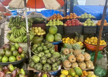 Les prix à la consommation enregistrent une légère hausse de +0,1 % en janvier 2025