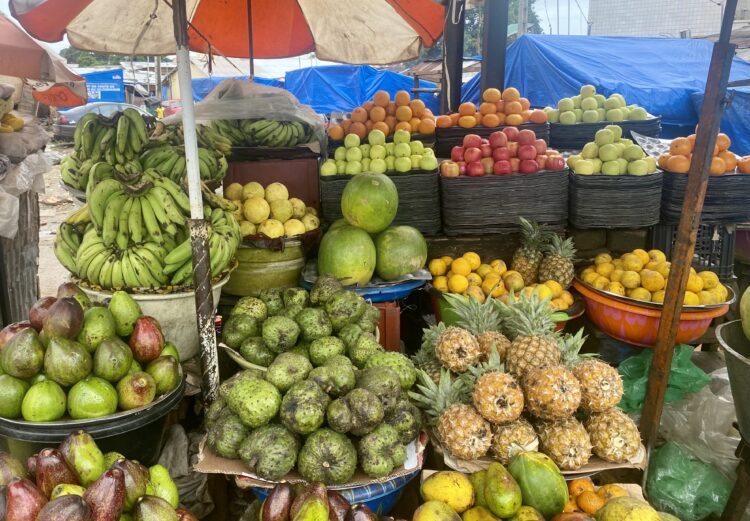 Les prix à la consommation enregistrent une légère hausse de +0,1 % en janvier 2025