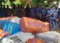 Kindia : une femme arrêtée avec plus de 740 kg de chanvre indien
