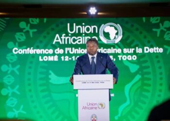 Faut-il dompter la dette pour préserver l’avenir public en Afrique ?