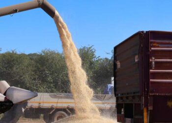 Zimbabwe : 10 millions USD pour renforcer la résilience agricole face à la sécheresse