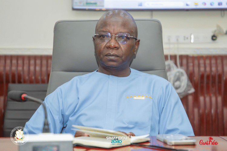 Les permis miniers retirés désormais placés en zone de réserve stratégique