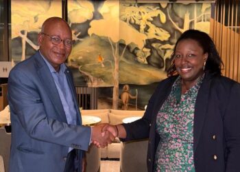 Accord stratégique pour booster les minéraux critiques en Guinée