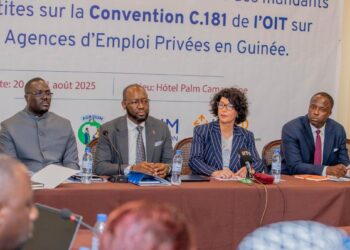 Atelier sur la Convention C.181 de l’OIT en Guinée