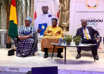 Début des travaux du processus d’identification des compétences et des entreprises guinéennes à l’étranger