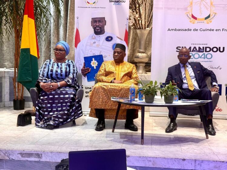 Début des travaux du processus d’identification des compétences et des entreprises guinéennes à l’étranger