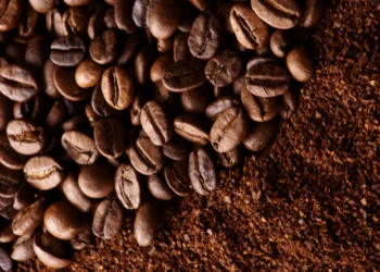 Côte d’Ivoire : la production de cacao a chuté de 31,2 % en juillet par rapport à l&rsquo;année précédente