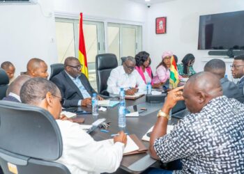 Les horizons d’un nouveau partenariat entre la Guinée et AFC se profilent